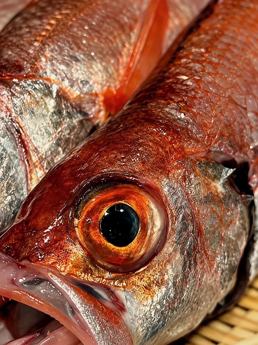 しゝゑが仕入れた魚
